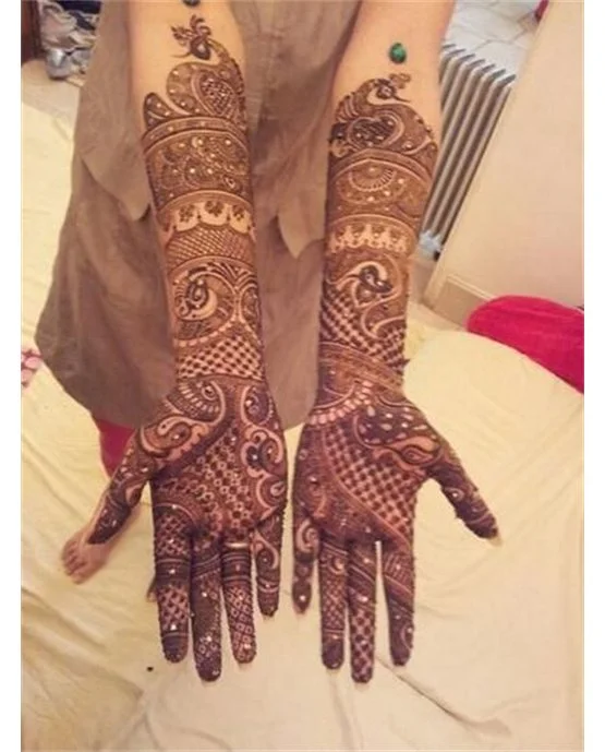 Exquisite Outline Placement On Front Full Hand Mehndi Design